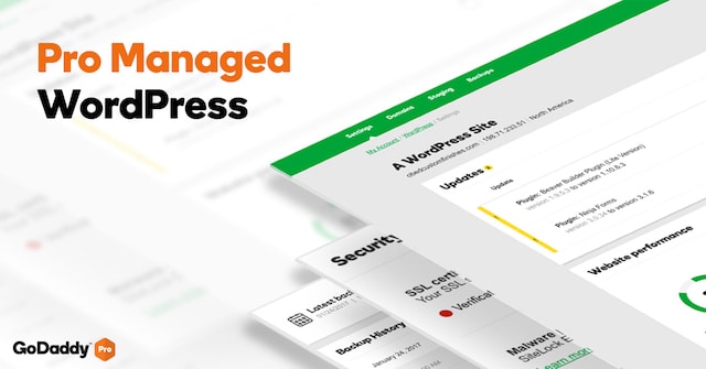 GoDaddy Launches Pro Wordpress Sites